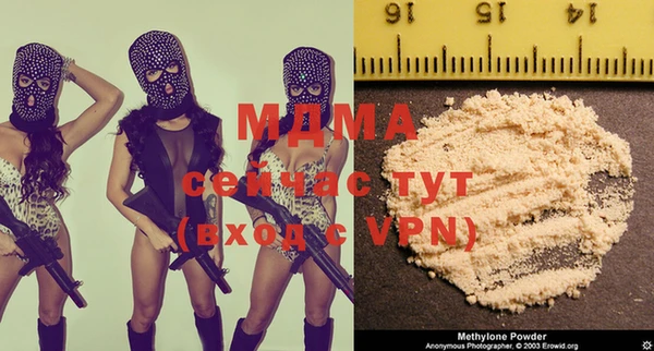 индика Сясьстрой