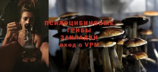 спиды Горно-Алтайск