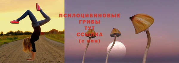 спиды Горно-Алтайск