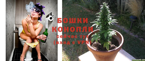 соль ск Горняк