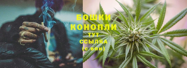 спиды Горно-Алтайск